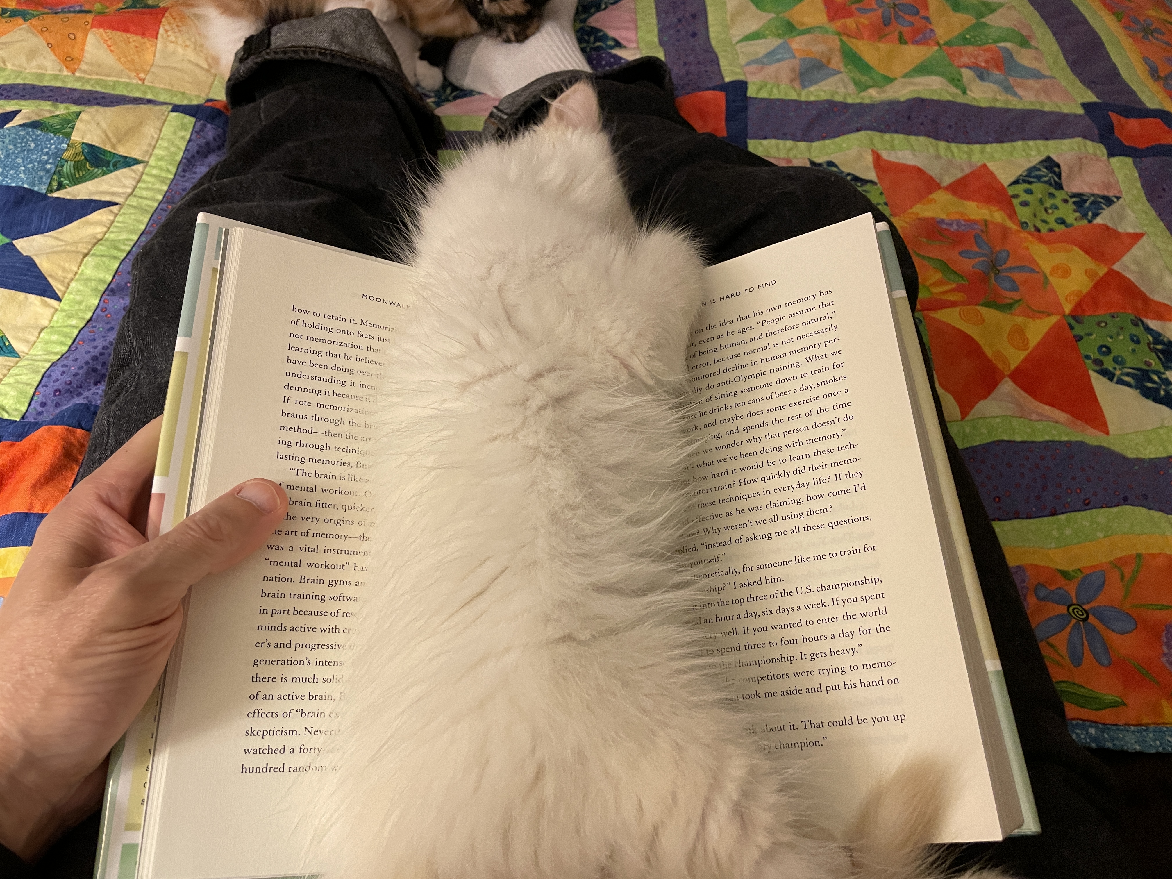 image from Book Mini-Reviews for July 2025
