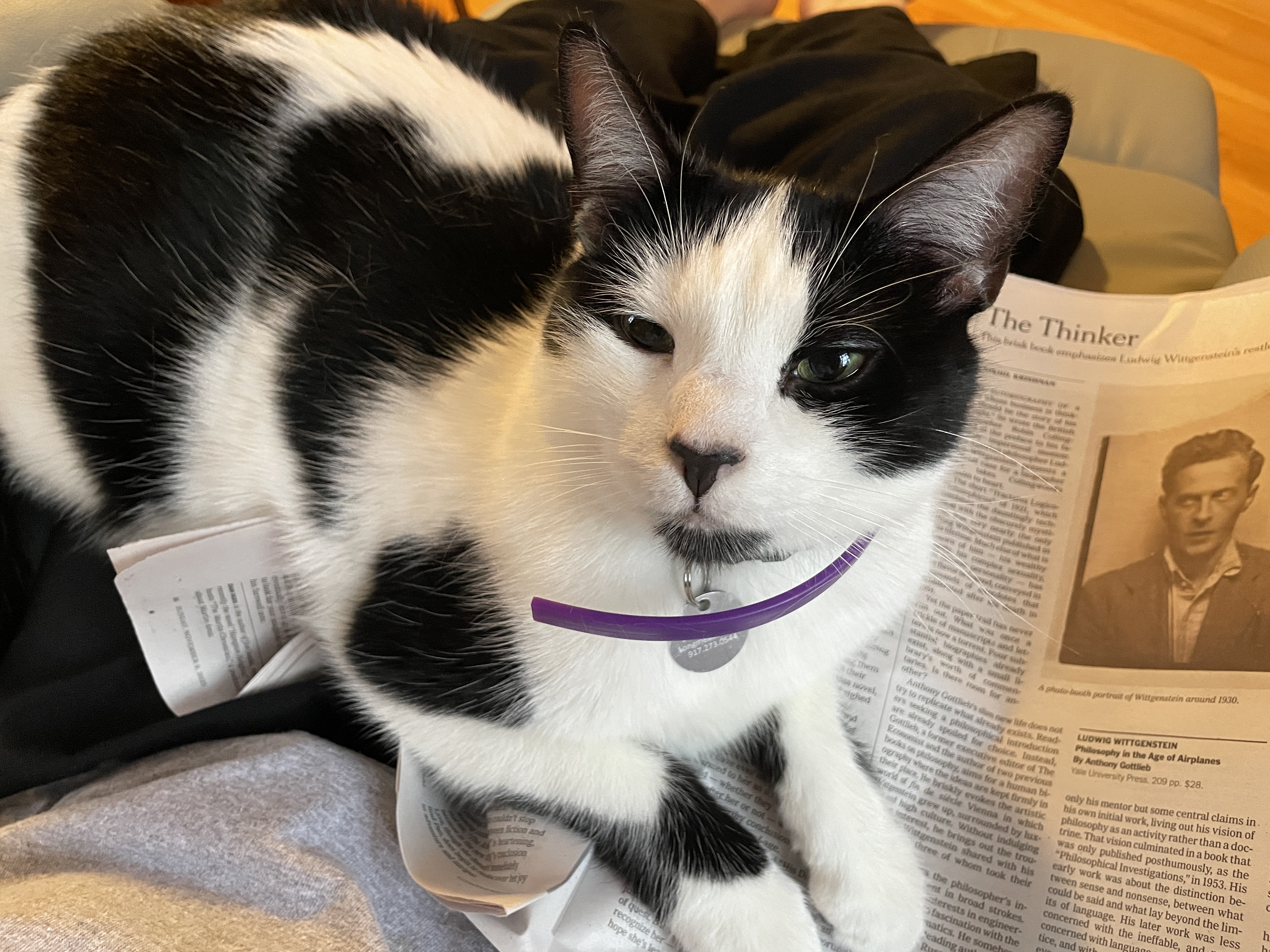 image from November 2025 Reviews