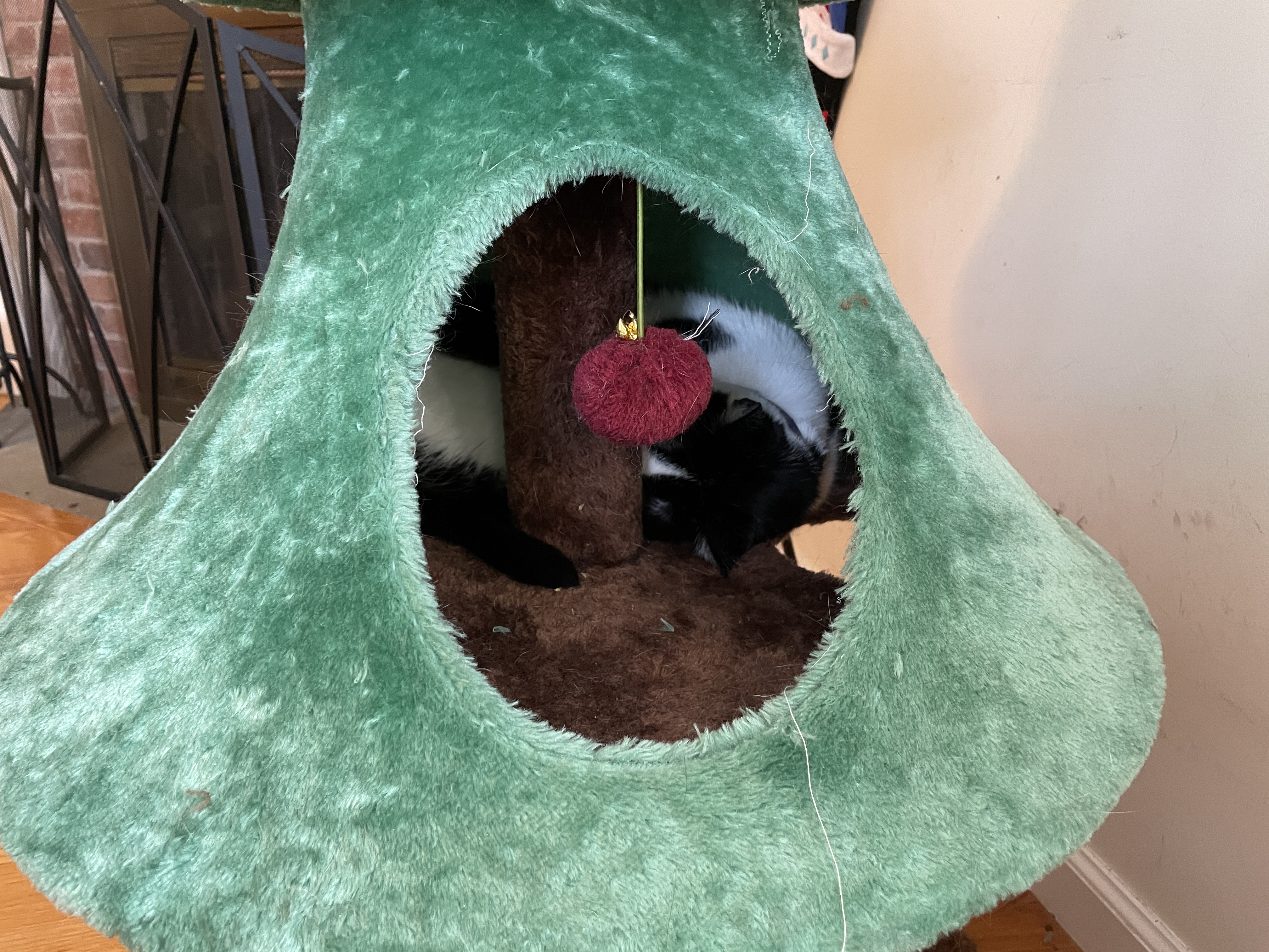 image from December 2025 Reviews