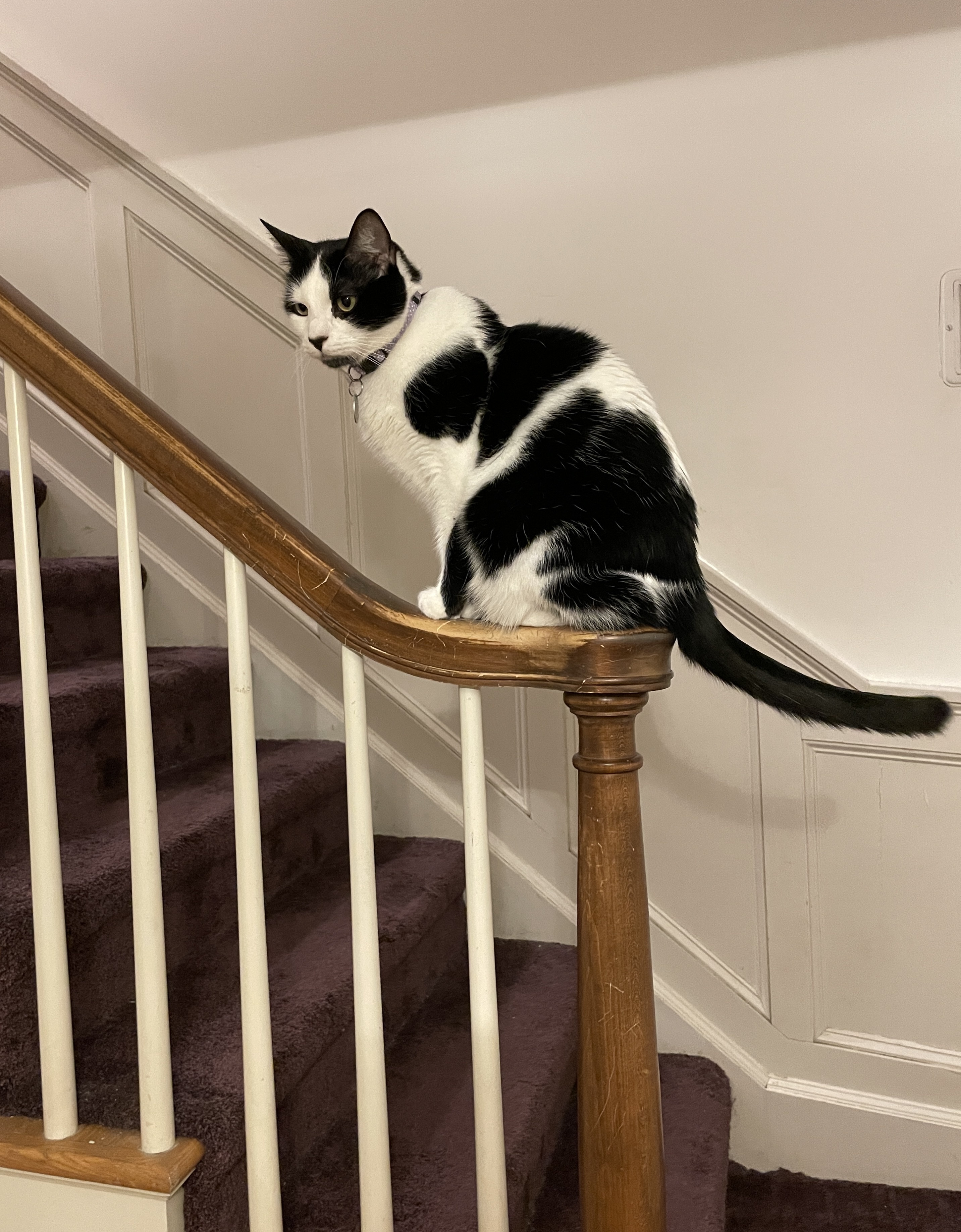 image from Reviews for January 2026