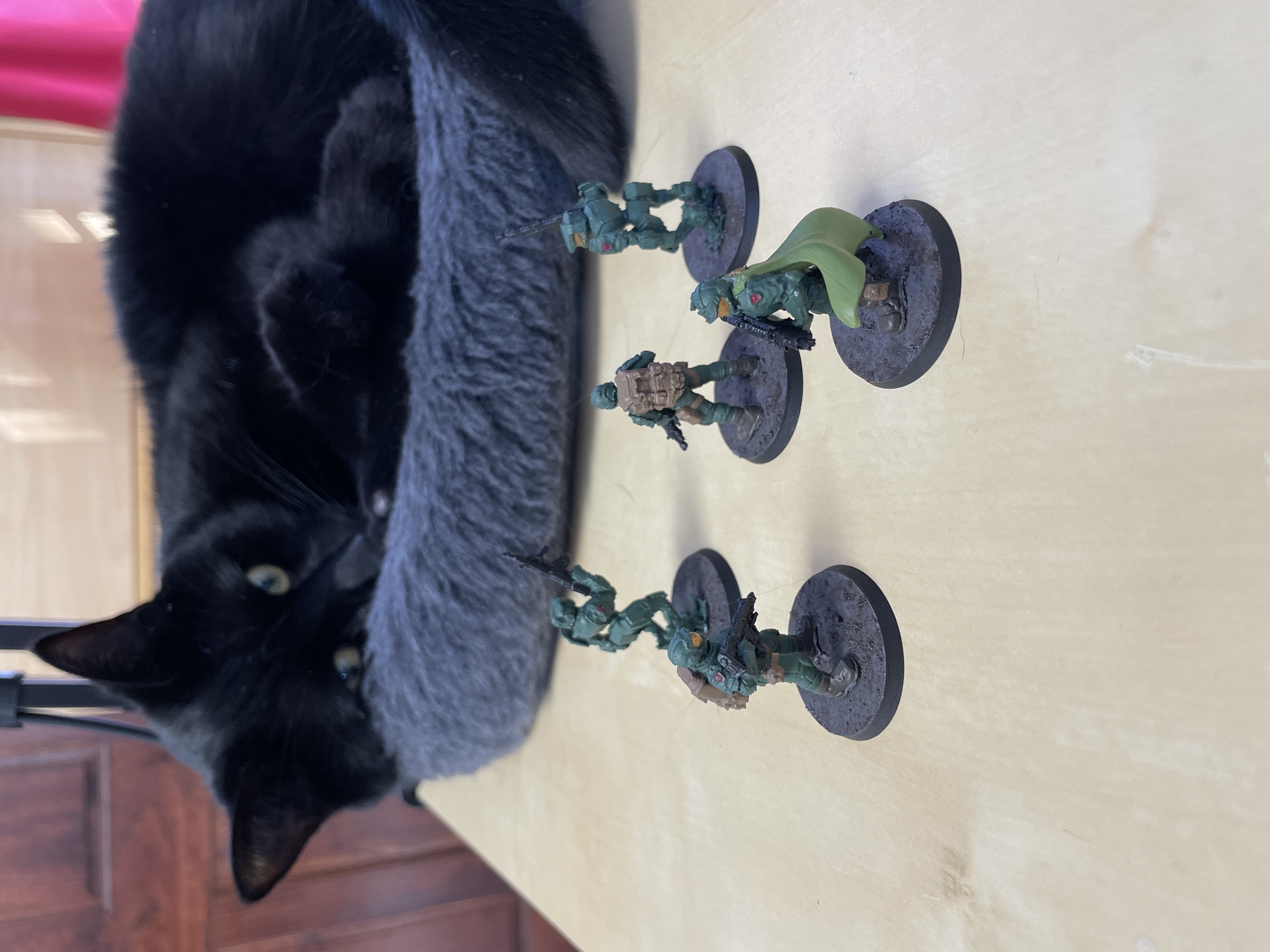 image from Reviews for February 2026