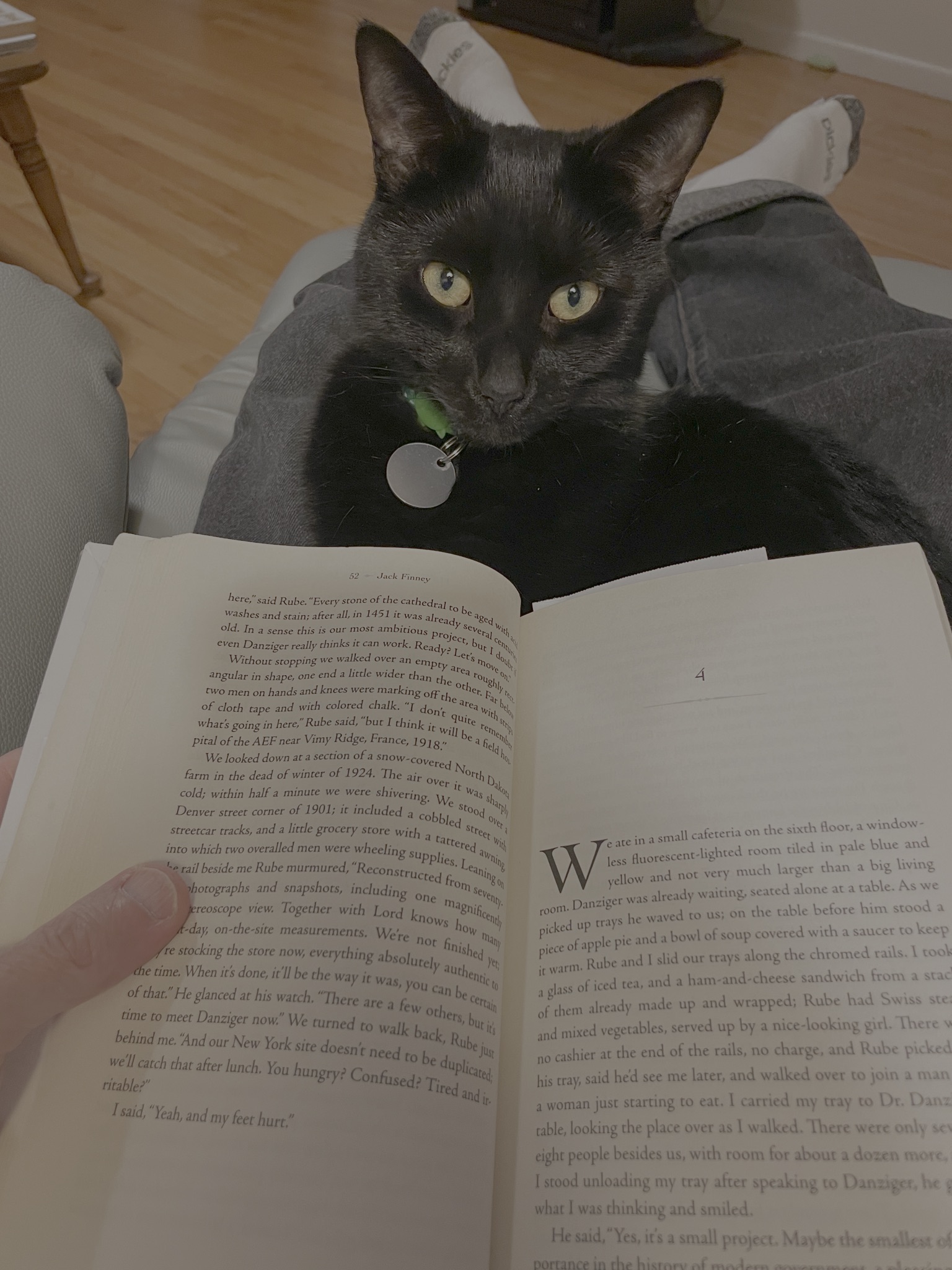 image from Reviews for March 2026